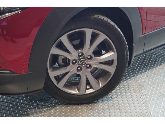 
								MAZDA CX-30 full									