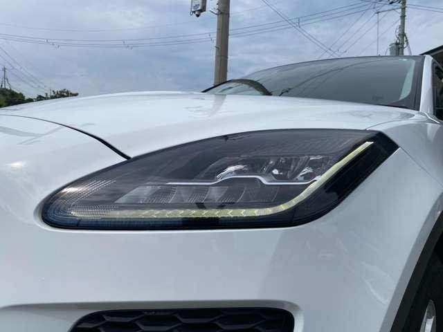 
								JAGUAR JAGUAR full									