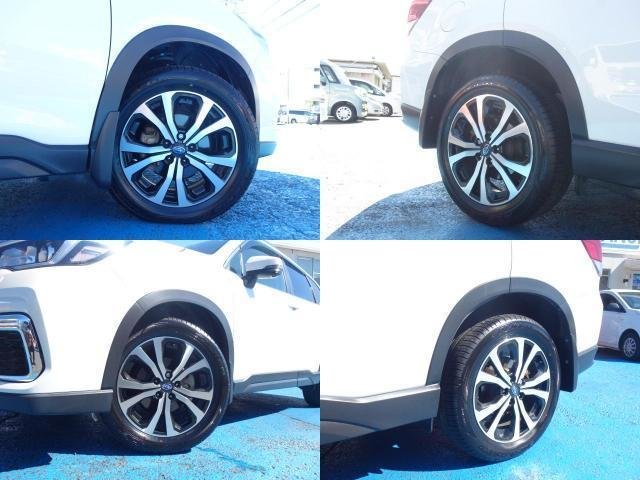 
								SUBARU FORESTER full									