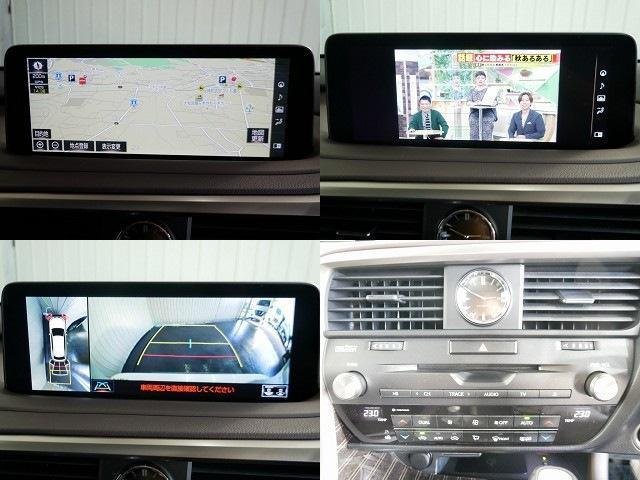
								LEXUS RX full									