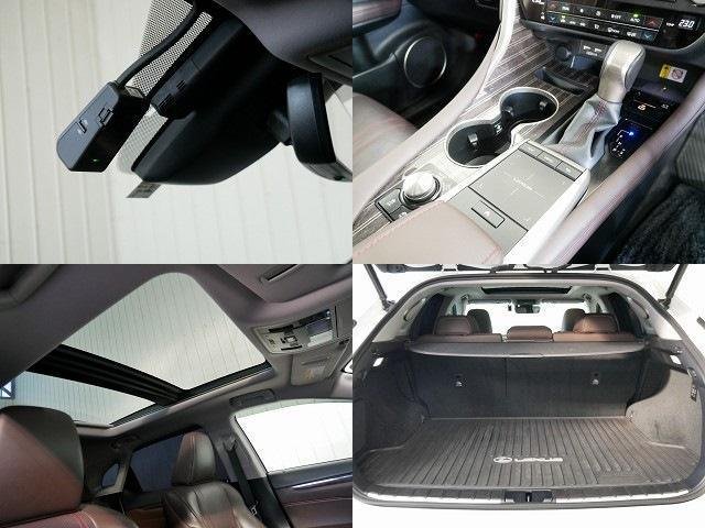 
								LEXUS RX full									