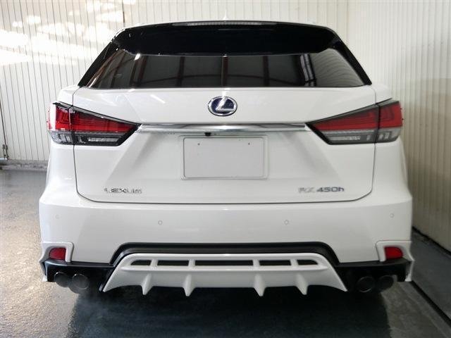 
								LEXUS RX full									