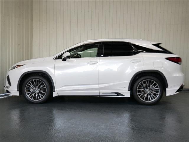 
								LEXUS RX full									
