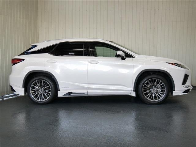 
								LEXUS RX full									