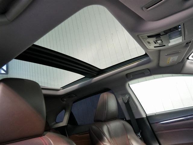 
								LEXUS RX full									