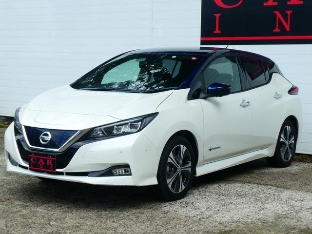 
								NISSAN LEAF full									