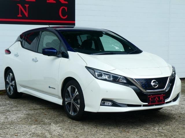 
								NISSAN LEAF full									