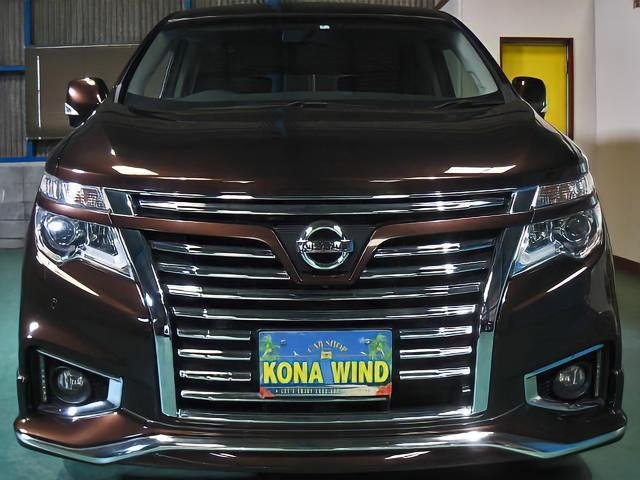 
								NISSAN ELGRAND full									