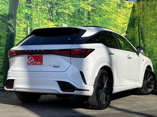 
								LEXUS RX full									