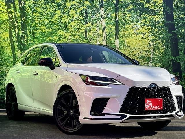 
								LEXUS RX full									