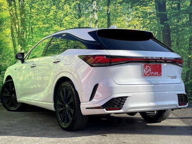 
								LEXUS RX full									