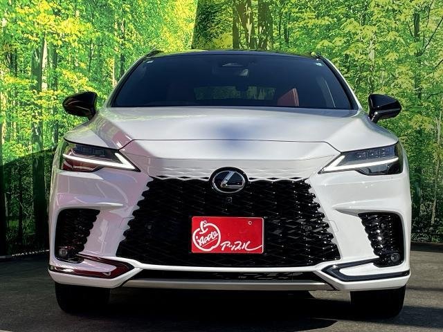 
								LEXUS RX full									