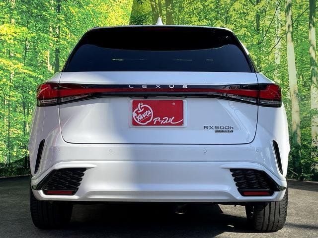 
								LEXUS RX full									