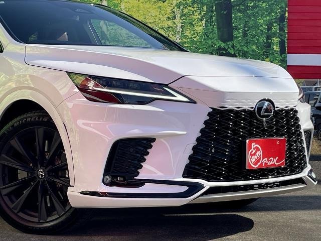 
								LEXUS RX full									