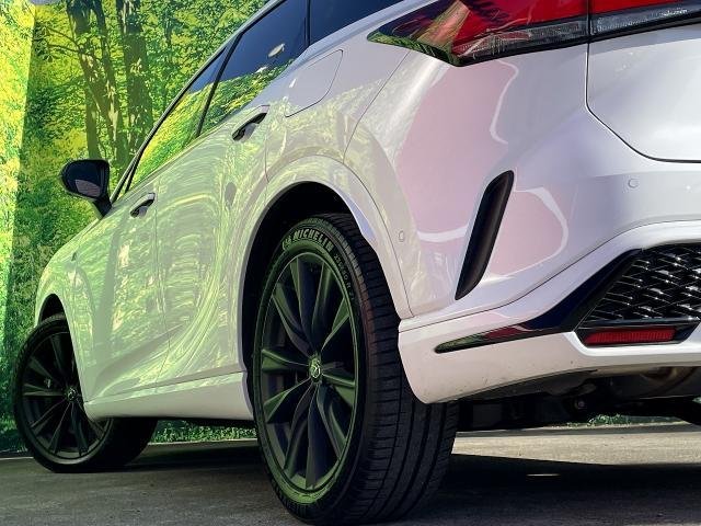 
								LEXUS RX full									