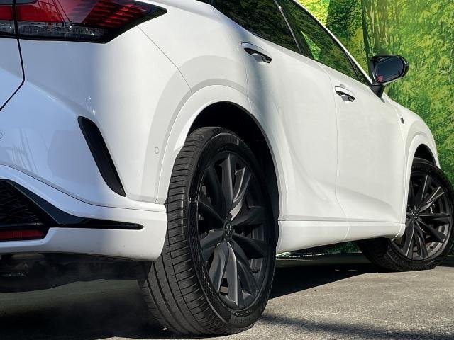 
								LEXUS RX full									