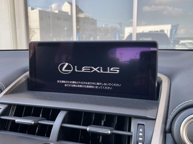 
								LEXUS NX full									