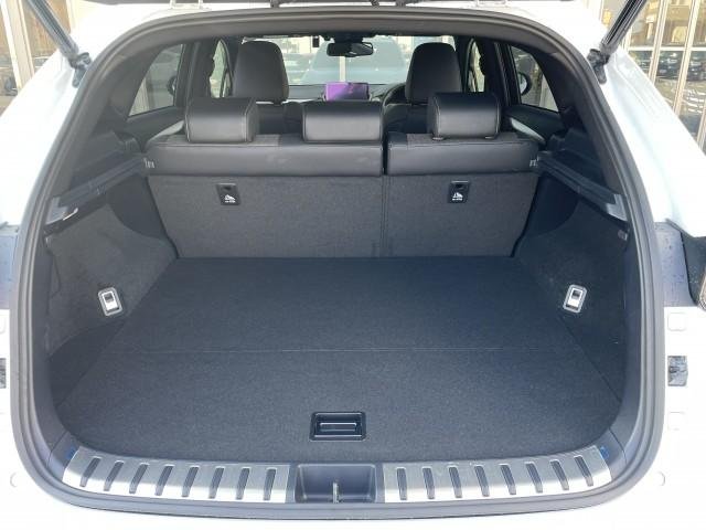 
								LEXUS NX full									
